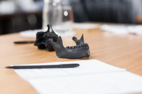 Dental model on the table close-up. 3d dental model on the table. Dental mode Stock Photos