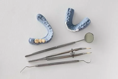 Dental models with ceramic bridge and veneers for prosthodontic treatment Stock Photos