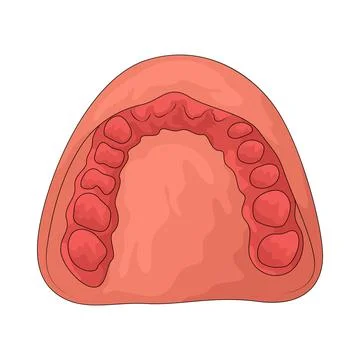 Dental Mold illustration Stock Illustration