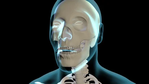 Dental Nerve 스톡 동영상 121742447