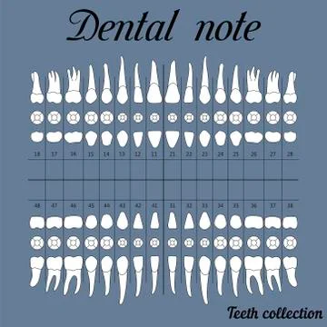 Dental note for dental clinic Stock Illustration