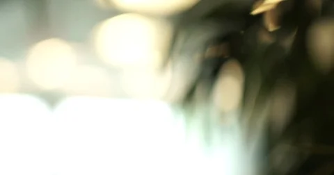 Dental Office Focus Pull Stock Footage 71210218