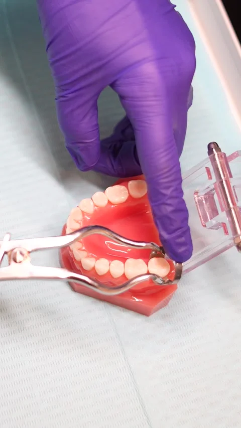 Dental Practice Simulation Stock Footage 316915680