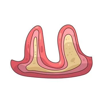 Dental Problem illustration イラスト素材