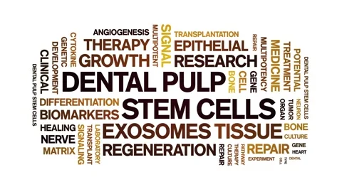 Dental Pulp Stem cells animated word cloud,animation typography seamless loop. Stock-Footage 327624172