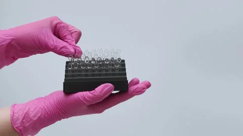 Dental Shade Guide Held by Technician in Gloves Stock Footage 333550435