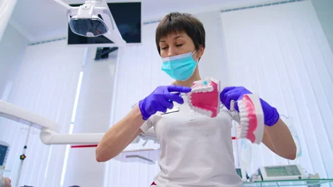 Dental specialist explaining how to brush teeth correctly on a jaw model. Stock Footage 152034850