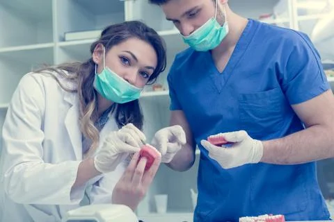 Dental students while working on the denture, false teeth. Foto stock