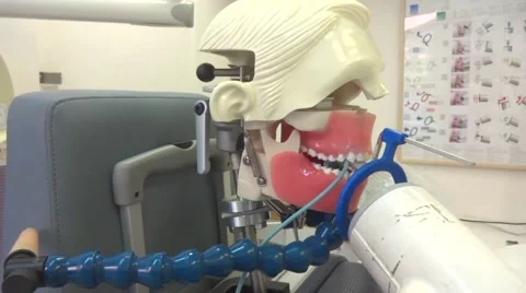 Dental studying x-ray on tooth model 스톡 동영상 58953958