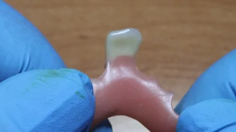 Dental technician looks at a model of the teeth Stock Footage 330964192