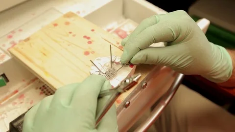 A dental technician models a device for the teeth. About the dentist, health Stock Footage 71581690