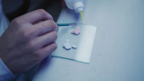 A dental technician prepares a mixture for teeth Stock Footage 292510433