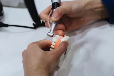 A dental technician processes a cast of the jaw. Stock Photos