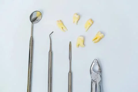Dental tools and extracted teeth on a light background Stock Photos