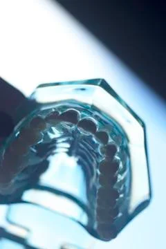 Dental tooth model Stock Photos