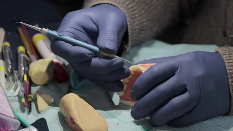 Dental Training and Model Preparation, Hands in Gloves Sculpt Artificial Gums Stock Footage 312168092