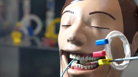 Dental Training Model Stock Footage 92624304