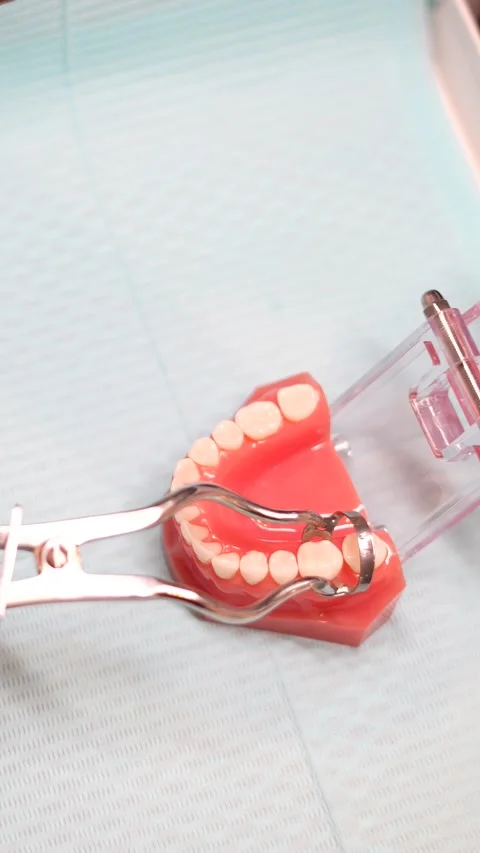 Dental Training Model in Use Stock Footage 316915674