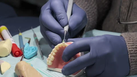 Dental training with tooth model and tools. Close-up of gloved hands practicing Stock Footage 311304939