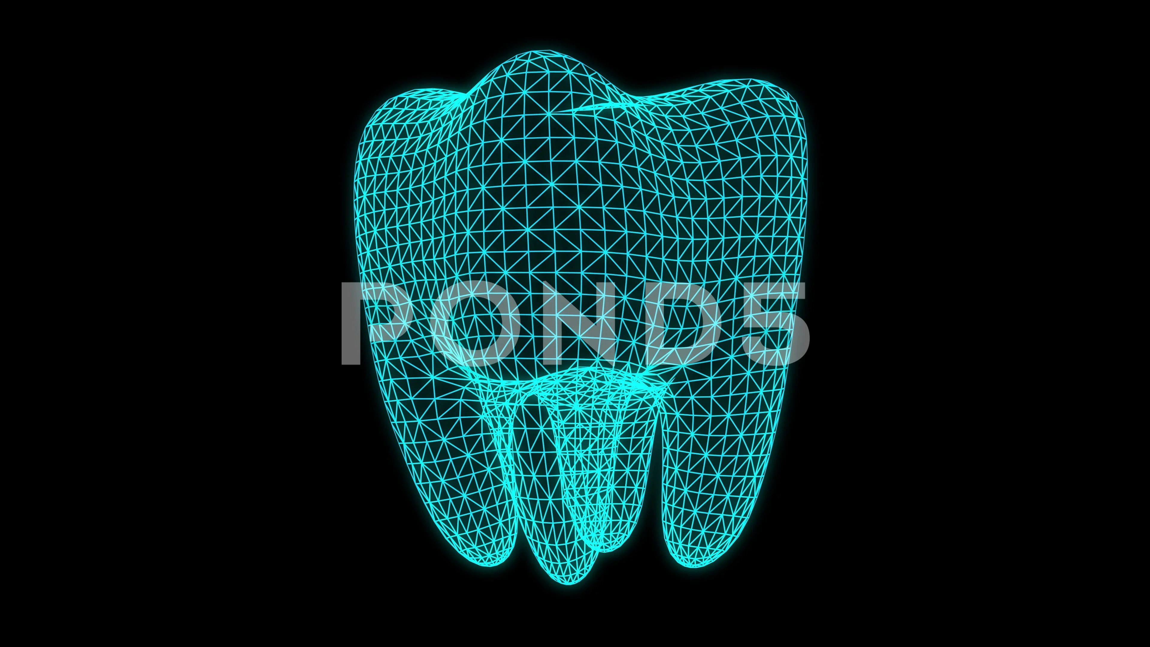 Dental X Ray Animation Stock Video Pond5