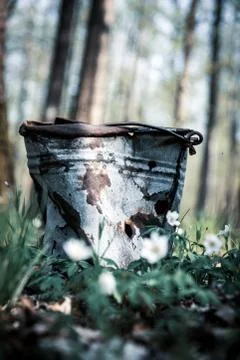 Dented bucket in the forest Stock Photos