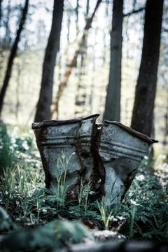 Dented bucket in the forest Stock Photos