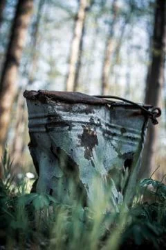 Dented bucket in the forest Stock Photos