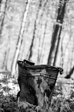Dented bucket in the forest Foto stock