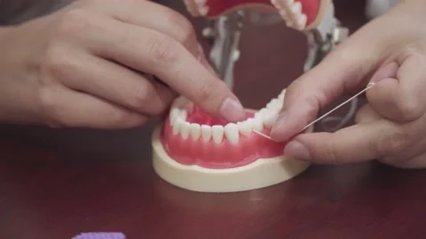 Dentist brushes floss on layout Stock Footage 142105193