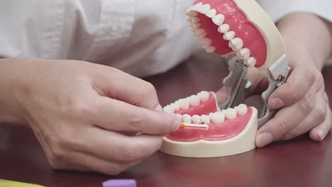 Dentist brushes floss on layout Stock Footage 142105211