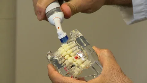 Dentist brushing model teeth Stock Footage 113488124