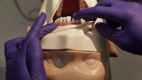 Dentist Checking His Crown Preparation on a Mannequin For Smoothness Stock Footage 106165048