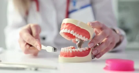 Dentist demonstrates correct technique for brushing teeth on model Stock Footage 285372120