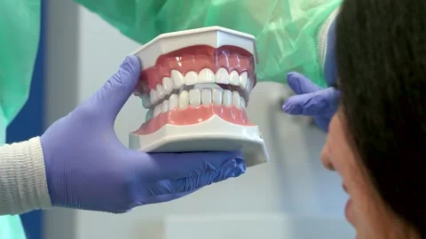 Dentist demonstrates human teeth model to attentive client Stock Footage 311951740