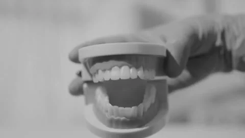 Dentist demonstrates teeth model in bright studio setting Stock Footage 347822589
