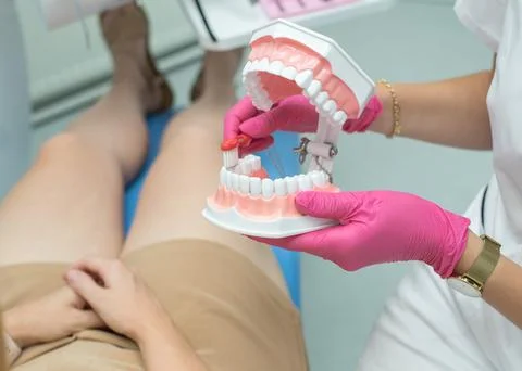 Dentist demonstrating proper brushing technique on a dental model Stock Photos
