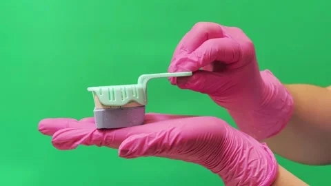 Dentist Demonstrating Tooth Brushing Technique on Dental Model Stock Footage 337106692