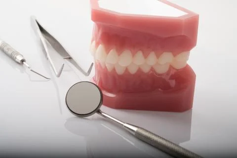 Dentist demonstration teeth model and dentist tool on white background Stock Photos
