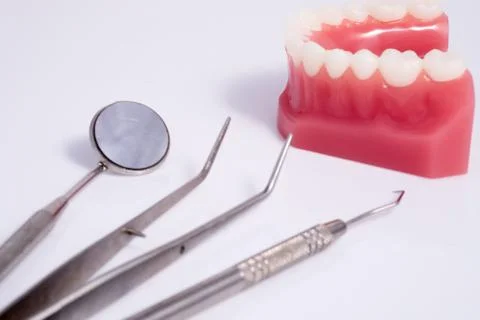 Dentist demonstration teeth model and dentist tool on white background Stock Photos