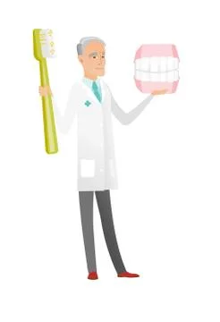 Dentist with dental jaw model and toothbrush. Stock Illustration
