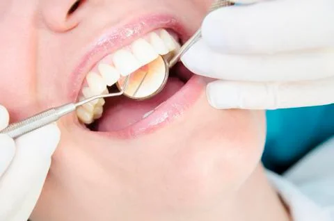 Dentist examining Stock Photos