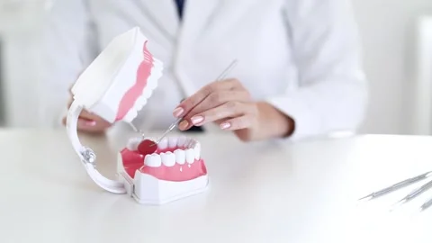Dentist examining teeth by using the example of a plastic model of jaws. Stock Footage 260233276