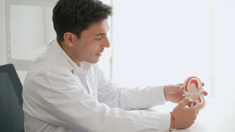Dentist explaining clean teeth with a tooth brush with a tooth model Stock Footage 278356021