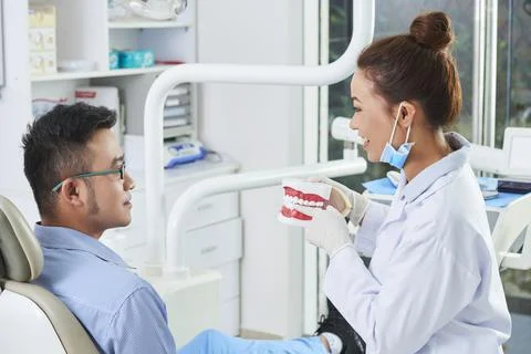 Dentist explaining patient's problem on teeth model Stock Photos