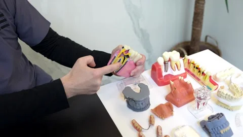 Dentist explaining tooth anatomy with dental models in clinic Stock Footage 306061421