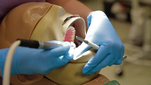 Dentist 動画素材 71028132