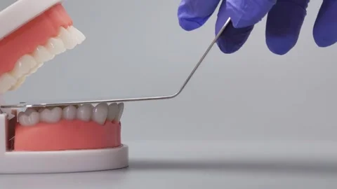 Dentist hand in blue glove examining dental jaw model with a mirror Stock Footage 340052368