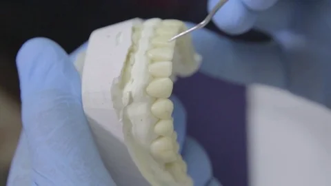 Dentist hand with jaw Video stock 75986347