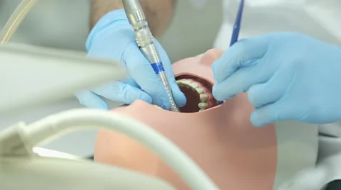 Dentist learning on Phantom head (dummy) at school Stock Footage 47671349