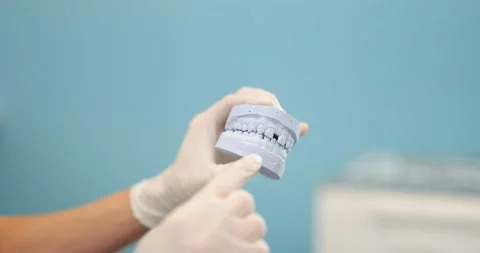 Dentist looking on a jaw model Stock Footage 147891164